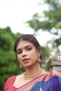 Royal Blue Soft Cotton Saree with Coral Pink Jacquard Border and Striped Pallu  in Surat video 1
