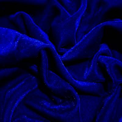 Royal Blue Viscose Velvet Fabric 8.15 Meter (9XL) in Surat
