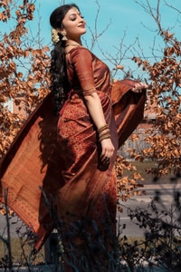 Rust Copper Banarasi Soft Silk Saree with All-Over Copper Zari Weave and Striped Pallu  in Surat
