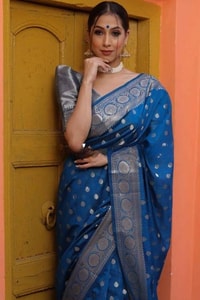 Silver Zari Butti Banarasi Soft Silk Saree with Jacquard Border in Five Jewel Tones  in Surat