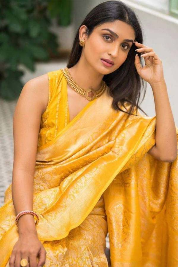 Silver Zari Luxurious Pallu Saree with Floral Zari Weaving Design Saree  in Surat