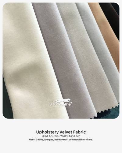 Upholstery Velvet Fabric GSM 170 to 200 Width 44 Inch and 58 Inch for Chairs Lounges Furniture in Surat