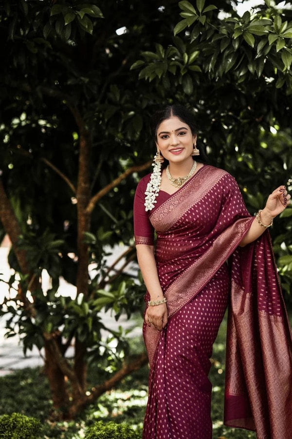 Wine Banarasi Soft Silk Saree with All-Over Copper Zari Motifs and Striped Copper Pallu  in Surat