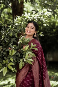 Wine Banarasi Soft Silk Saree with All-Over Copper Zari Motifs and Striped Copper Pallu  in Surat