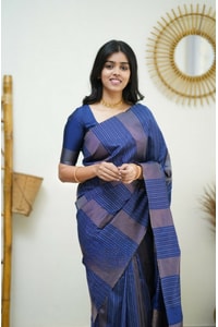Zigzag Stripe Weave Banarasi Soft Silk Saree with Copper and Silver Zari in Eight Shades  in Surat
