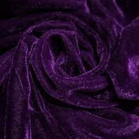 solid-velvet-fabric-purple-5-meter  in Surat