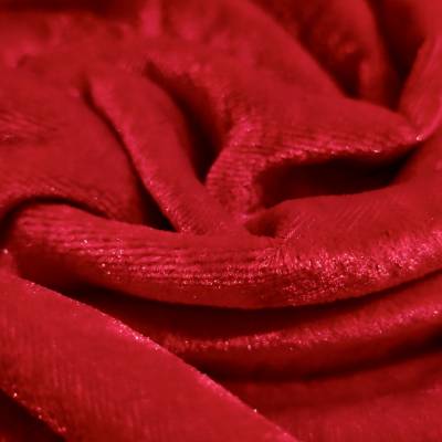 solid-velvet-fabric-red-5-meter in Surat