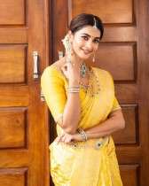 Rich Pallu and Heavy Golden Zari Weaving on an Elegant Allover Flower Design